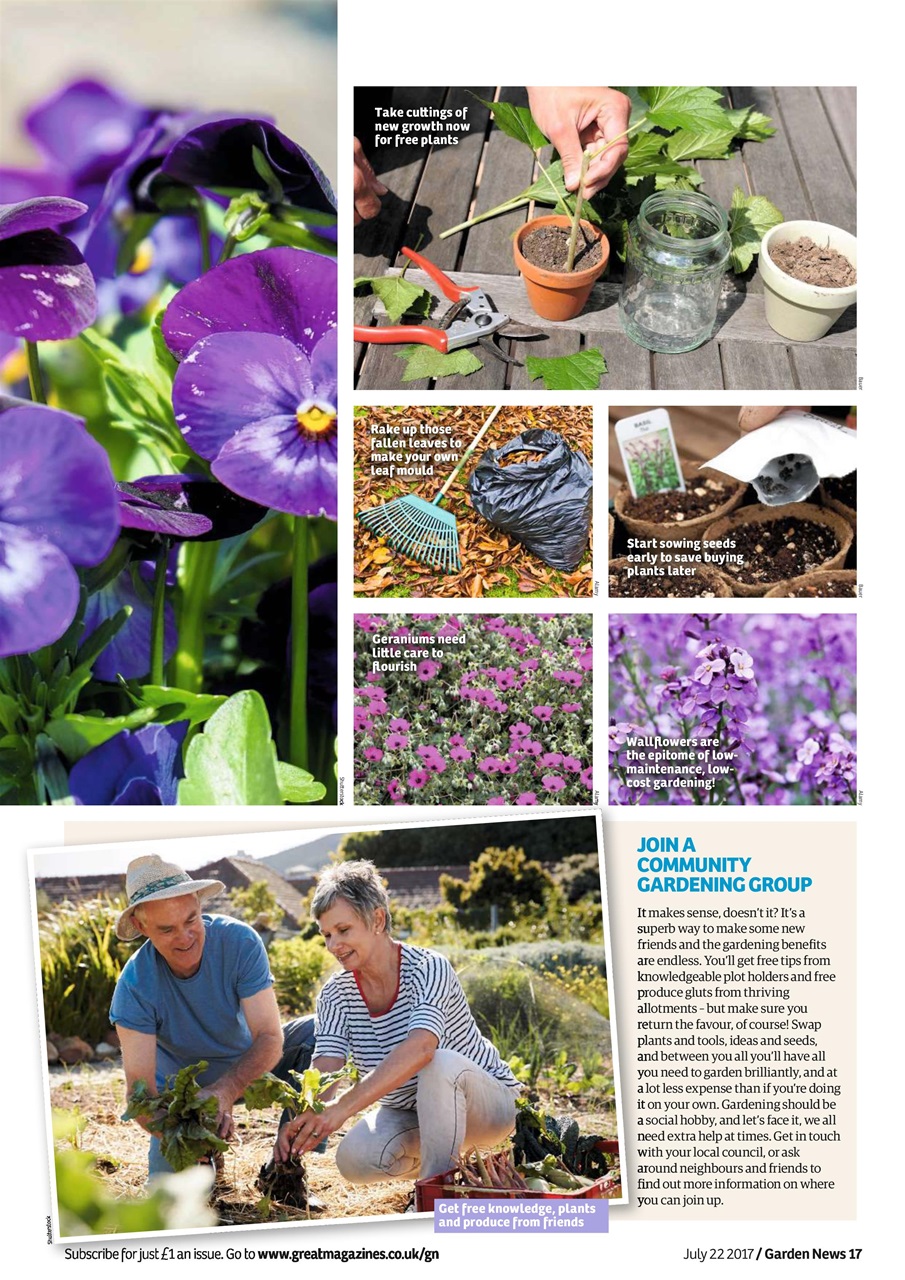 Garden News Preview Pages