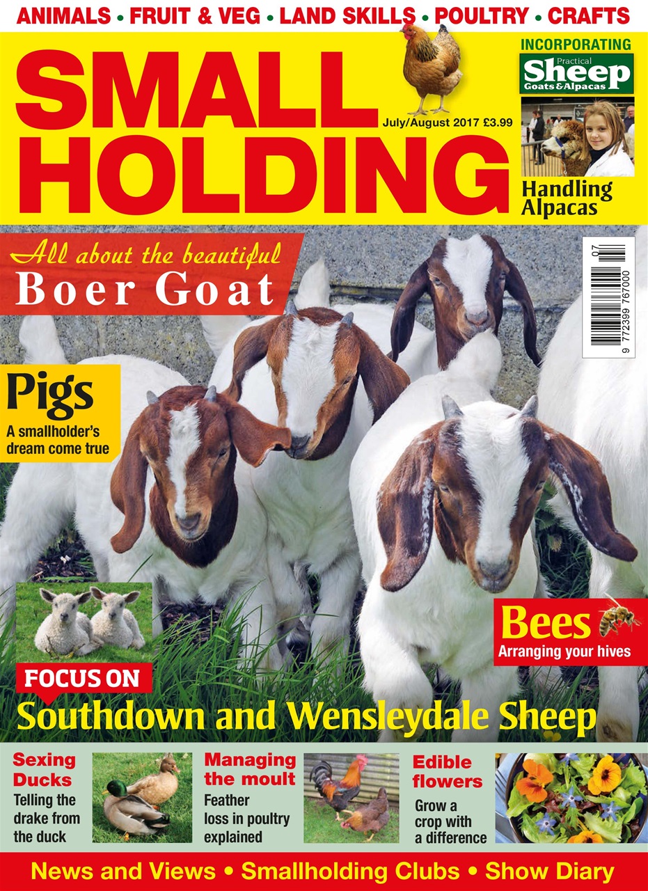 The Smallholder Preview Pages