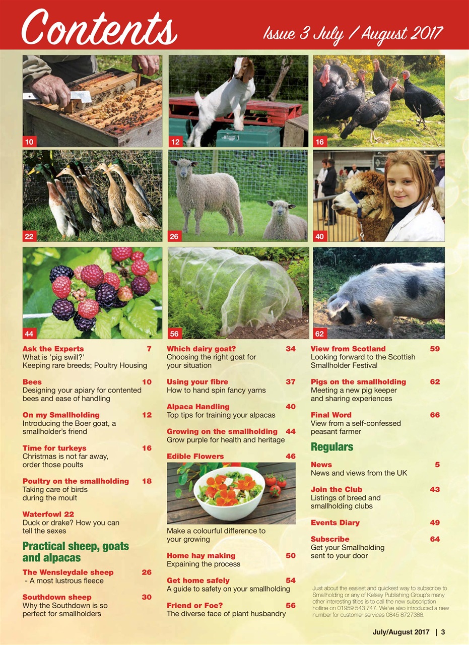 The Smallholder Preview Pages