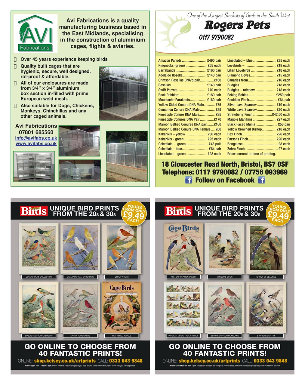 Cage & Aviary Birds Preview Pages