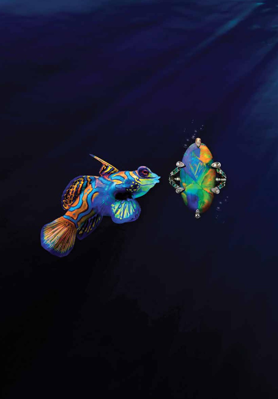 Destinations Series Preview Pages