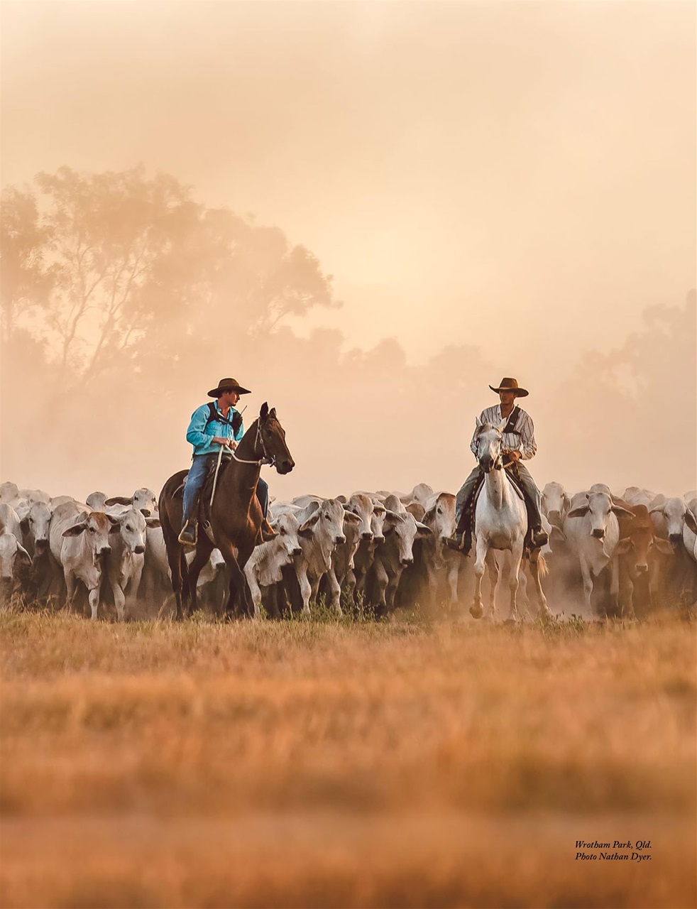 OUTBACK Magazine Preview Pages