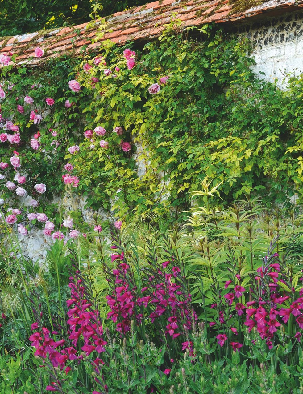Country Life Preview Pages