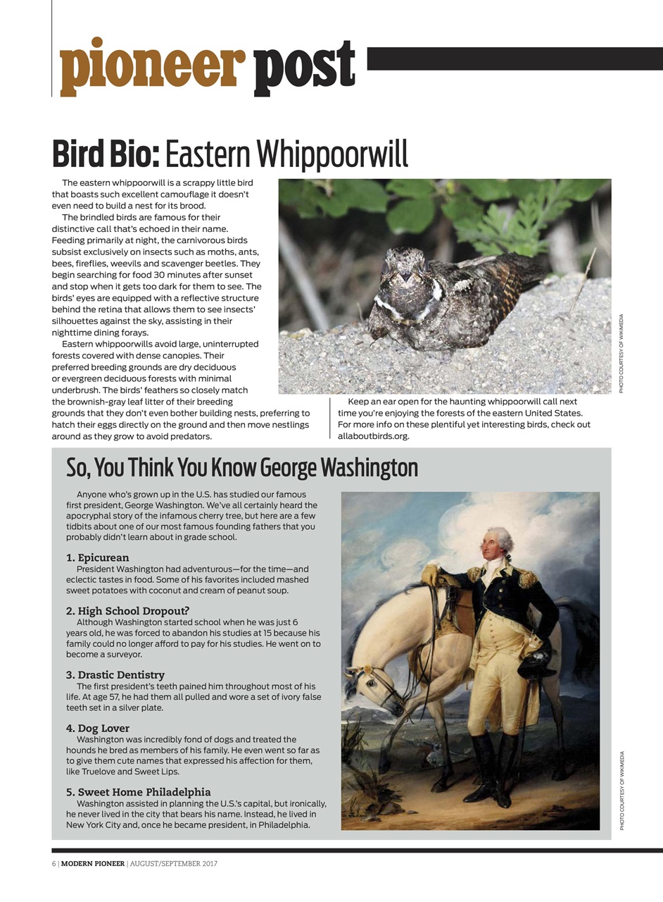 Modern Pioneer Preview Pages