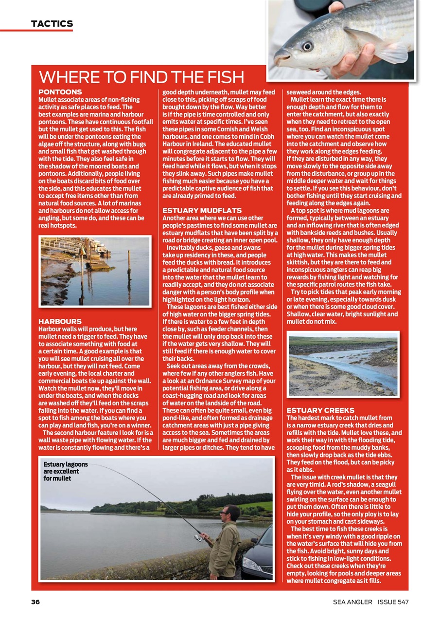 Sea Angler Preview Pages