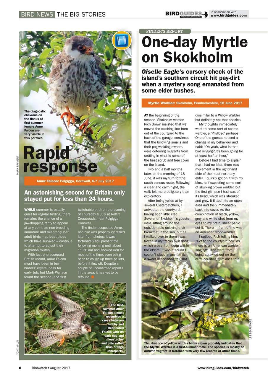 Birdwatch Magazine Preview Pages