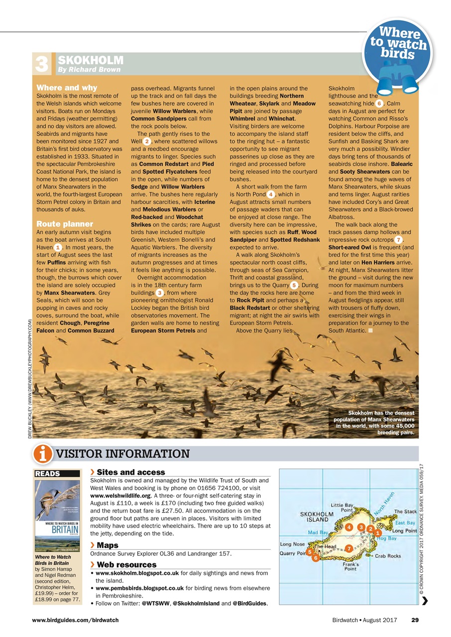 Birdwatch Magazine Preview Pages