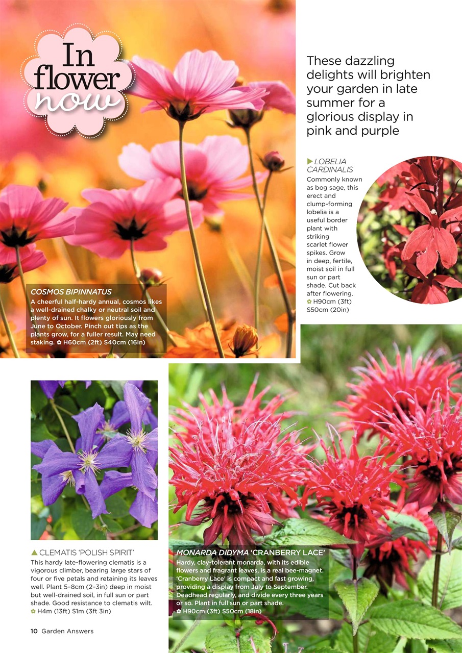 Garden Answers Preview Pages