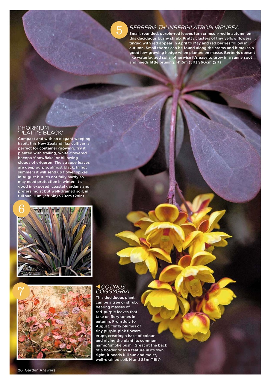 Garden Answers Preview Pages