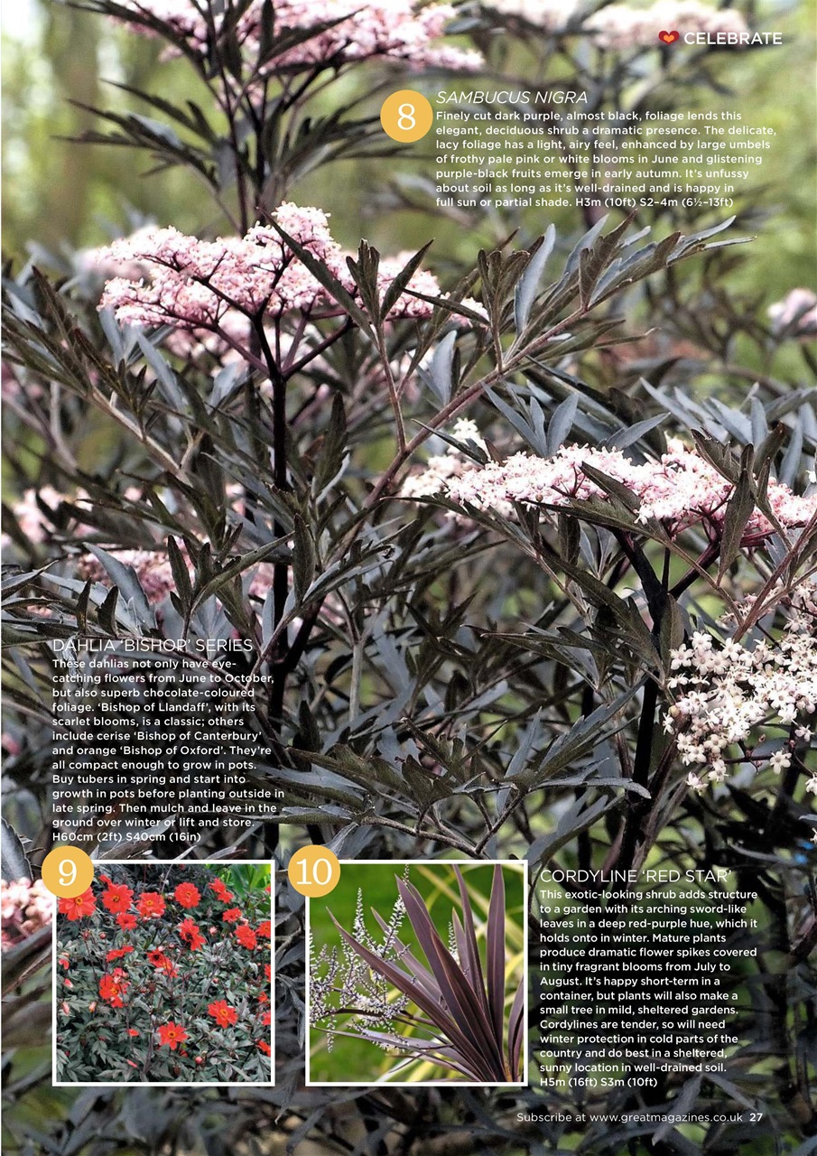 Garden Answers Preview Pages