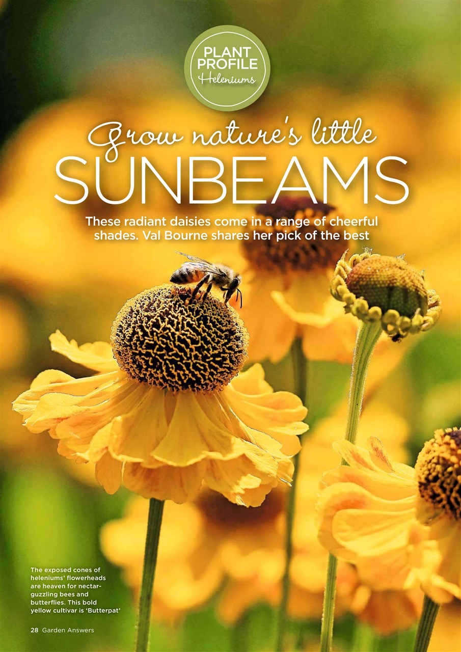 Garden Answers Preview Pages