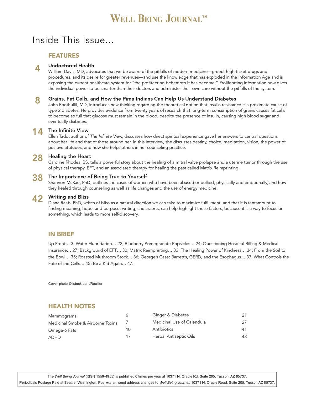 Well Being Journal Preview Pages