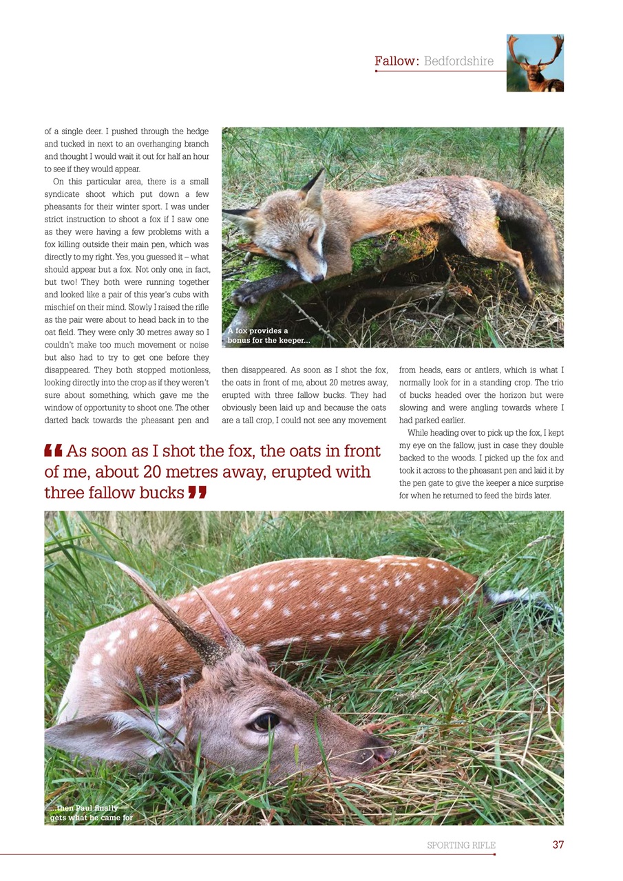 Sporting Rifle Preview Pages