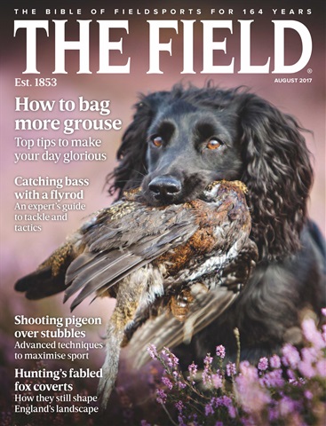 The Field issue August 2017