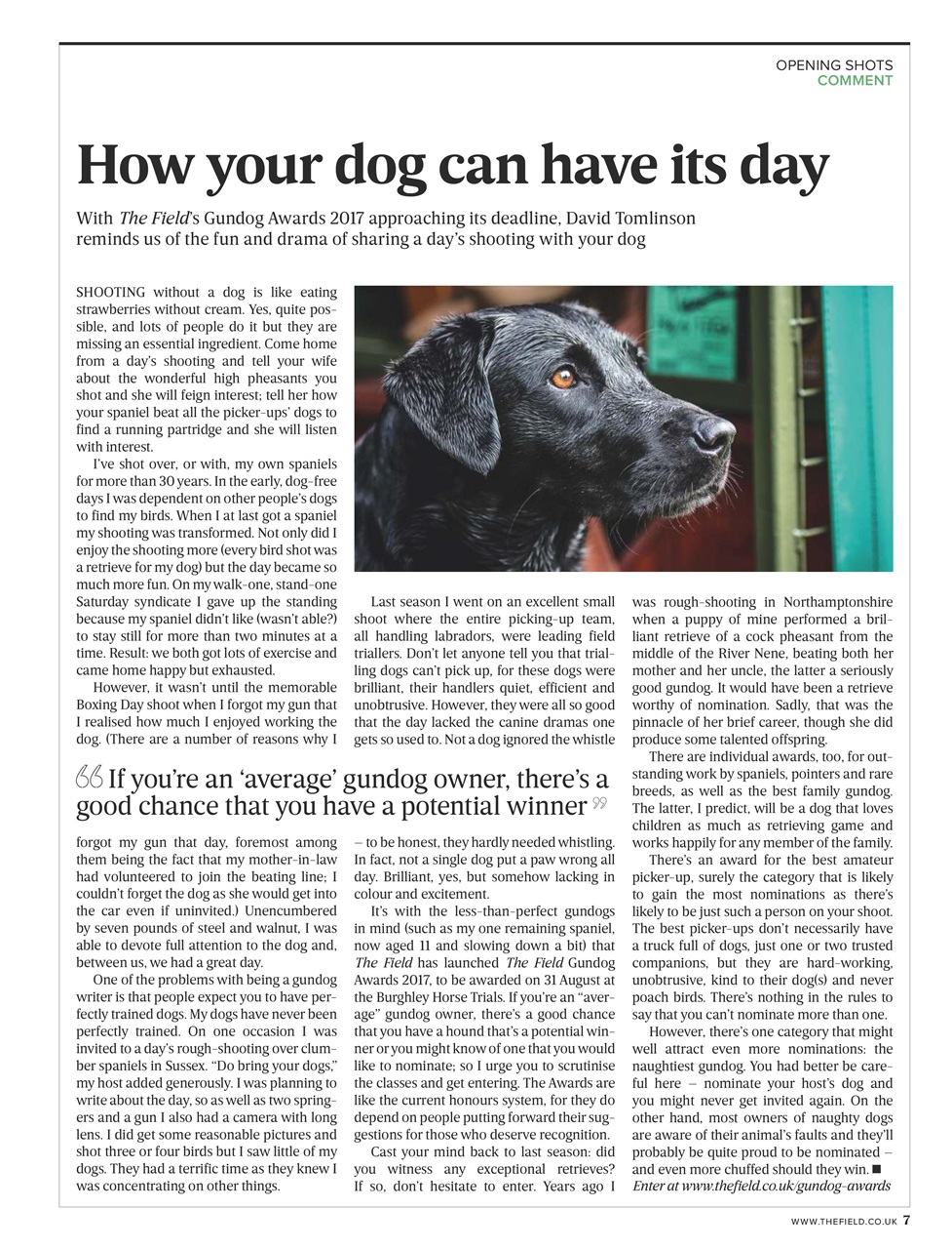 The Field Preview Pages