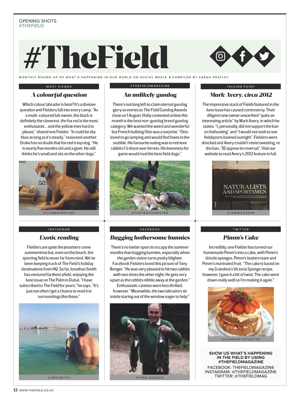 The Field Preview Pages
