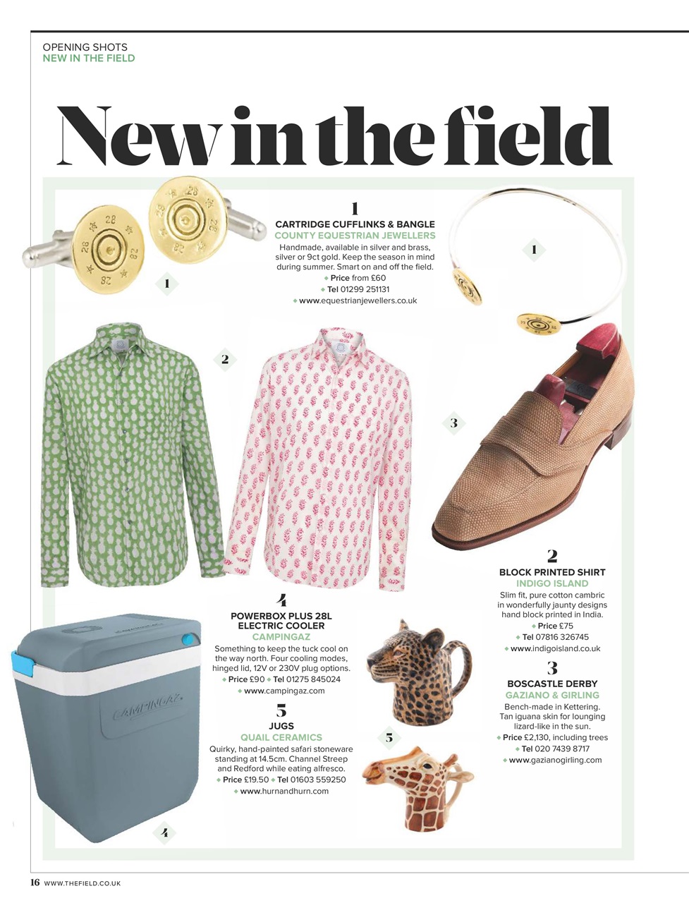 The Field Preview Pages