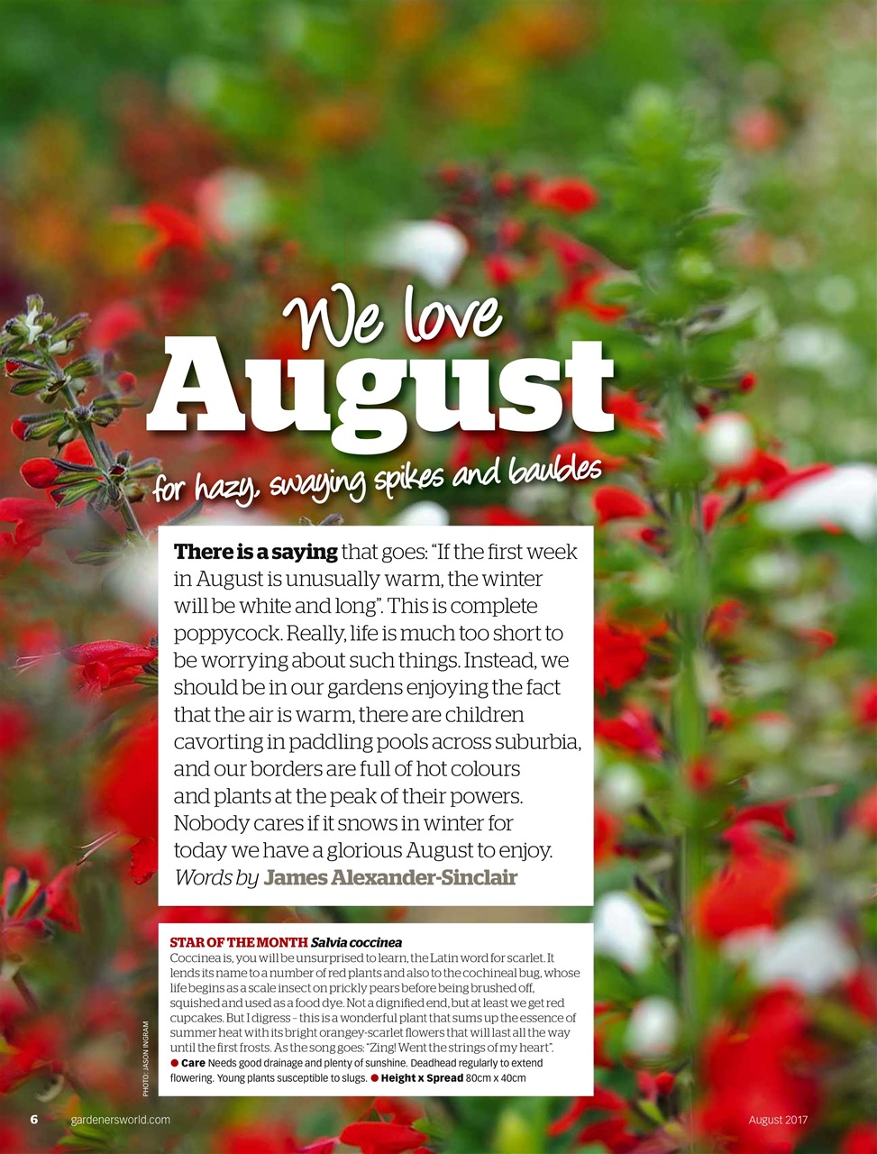 BBC Gardeners’ World Magazine Preview Pages