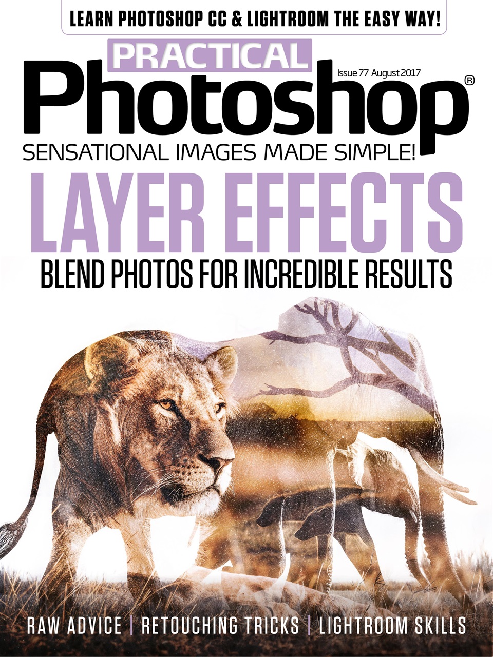 Practical Photoshop Preview Pages