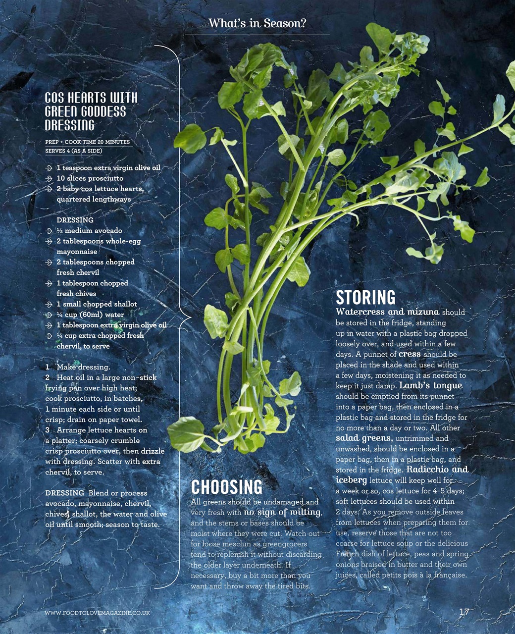 Food To Love Preview Pages