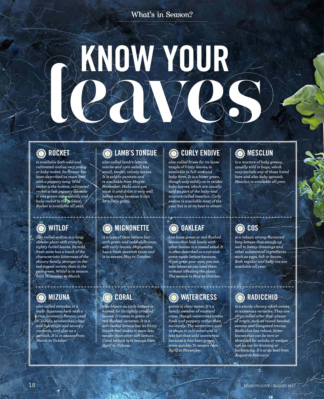 Food To Love Preview Pages