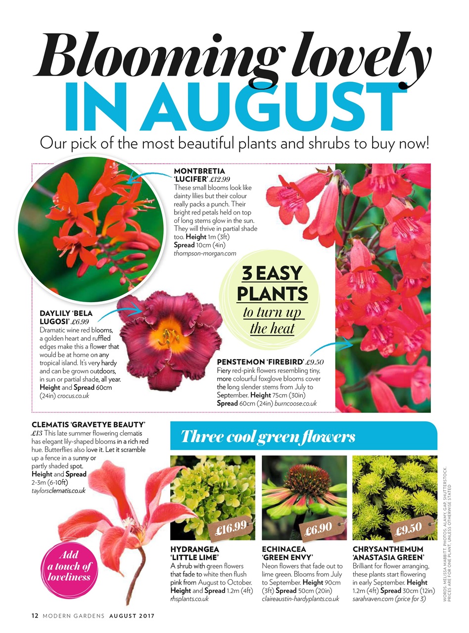 Modern Gardens Preview Pages