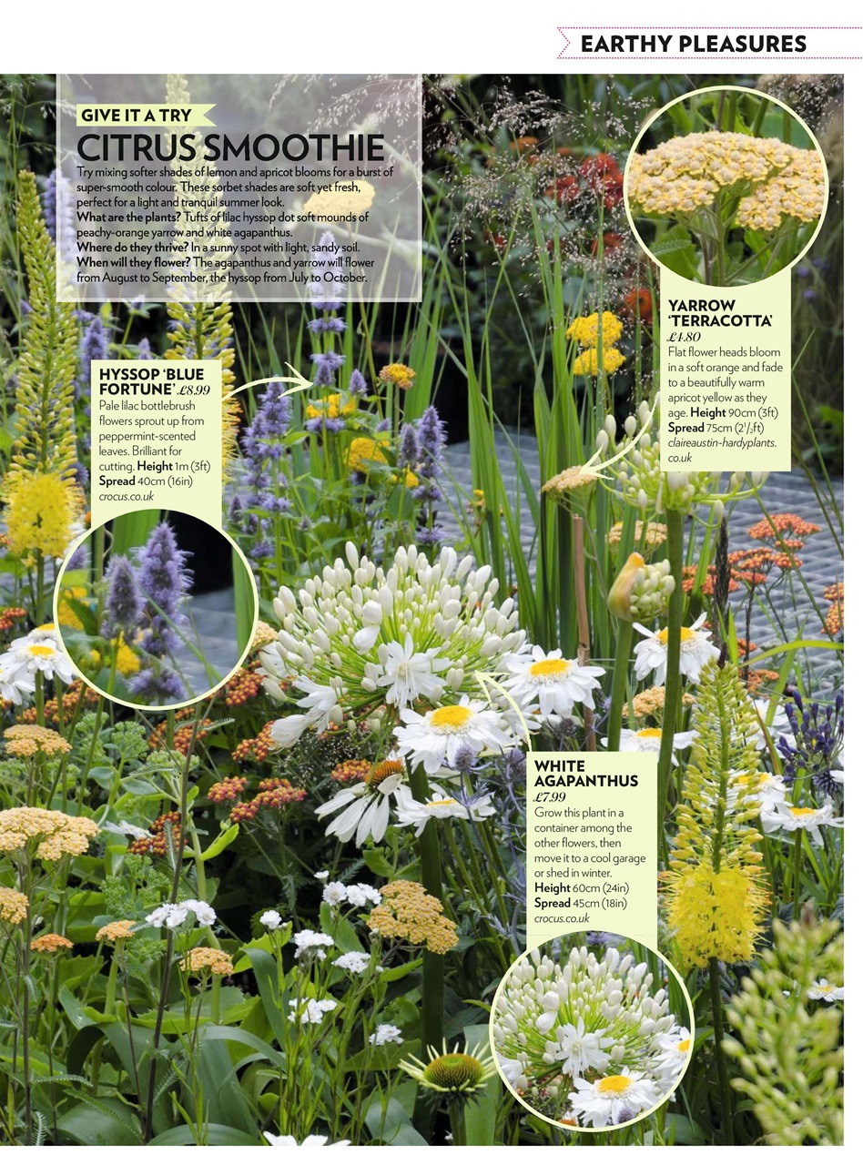Modern Gardens Preview Pages