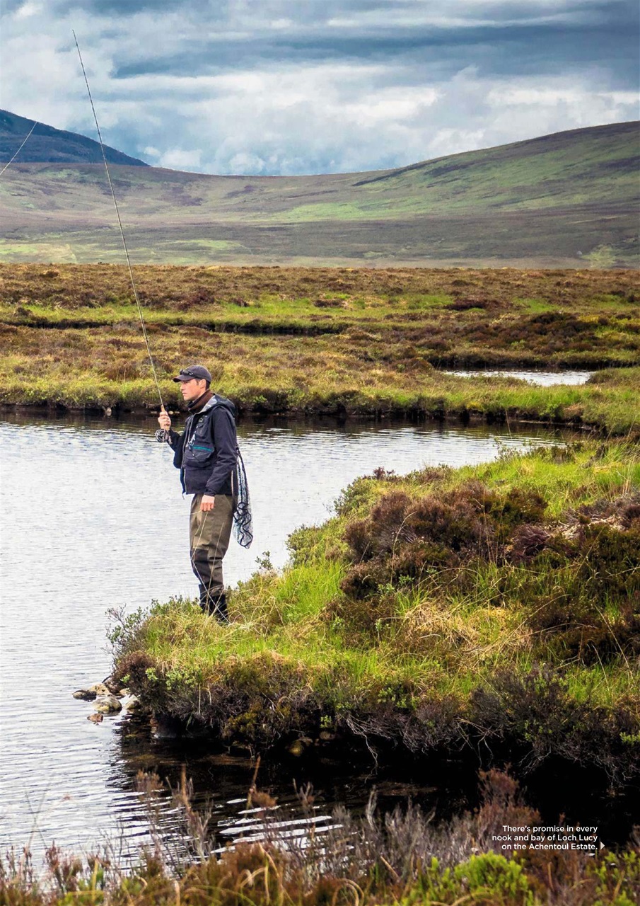 Trout & Salmon Preview Pages