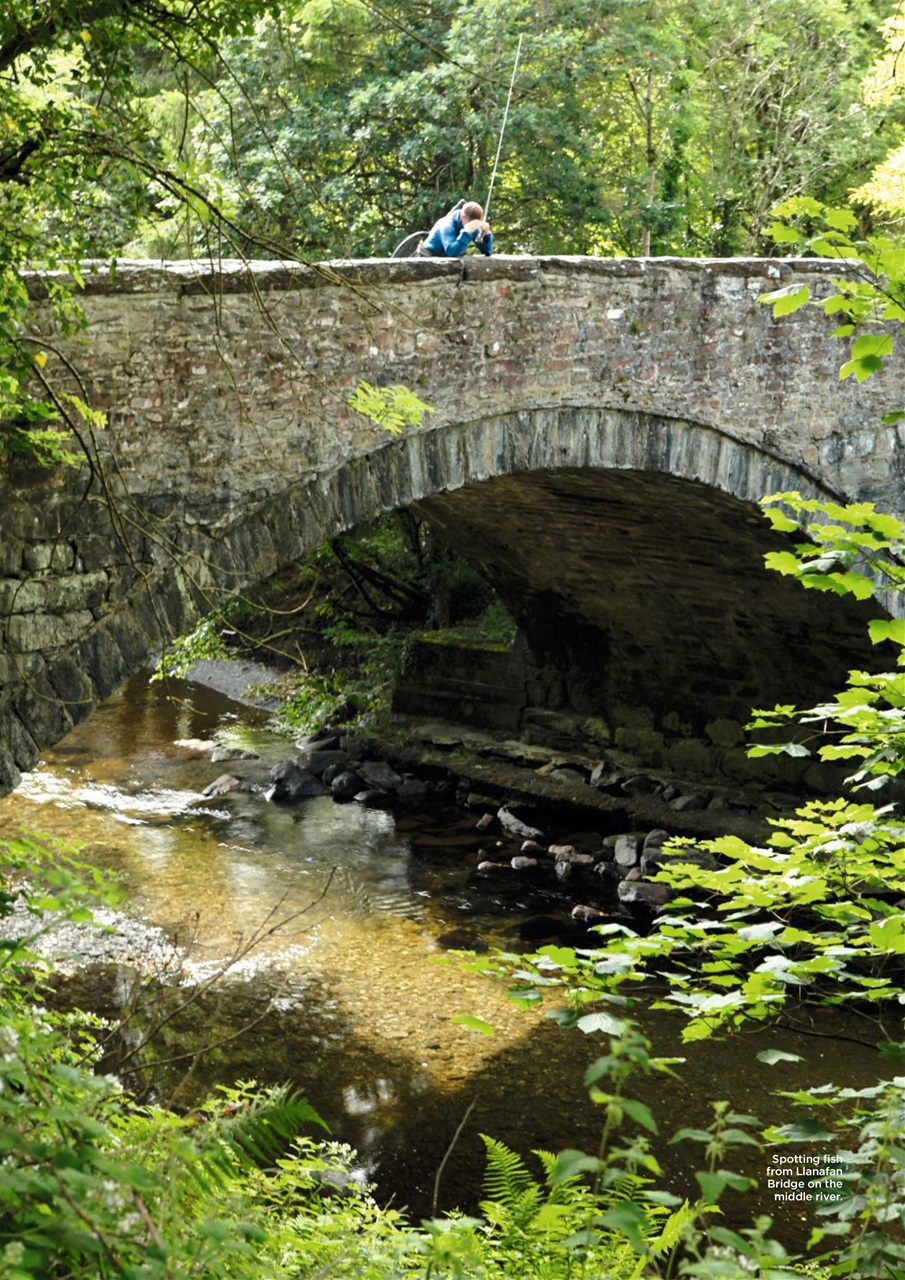 Trout & Salmon Preview Pages