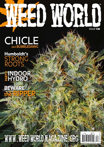 Weed World issue 