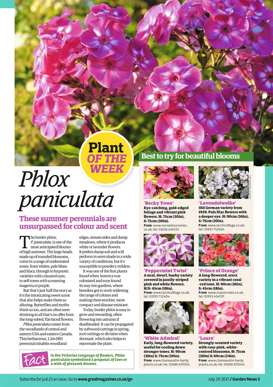 Garden News Preview Pages