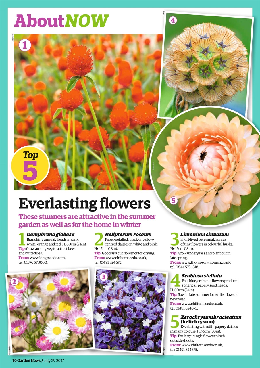 Garden News Preview Pages