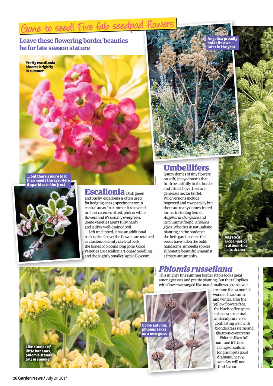 Garden News Preview Pages