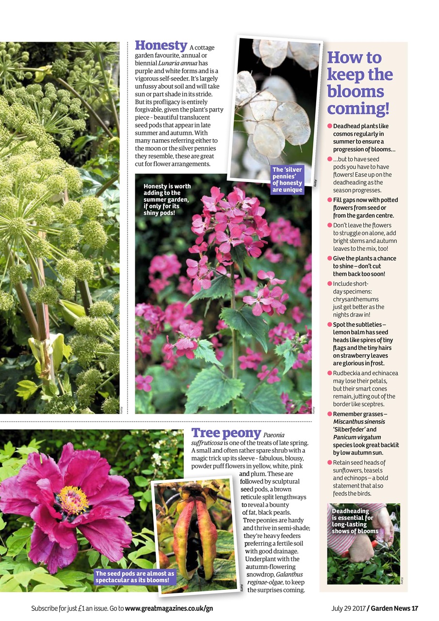 Garden News Preview Pages