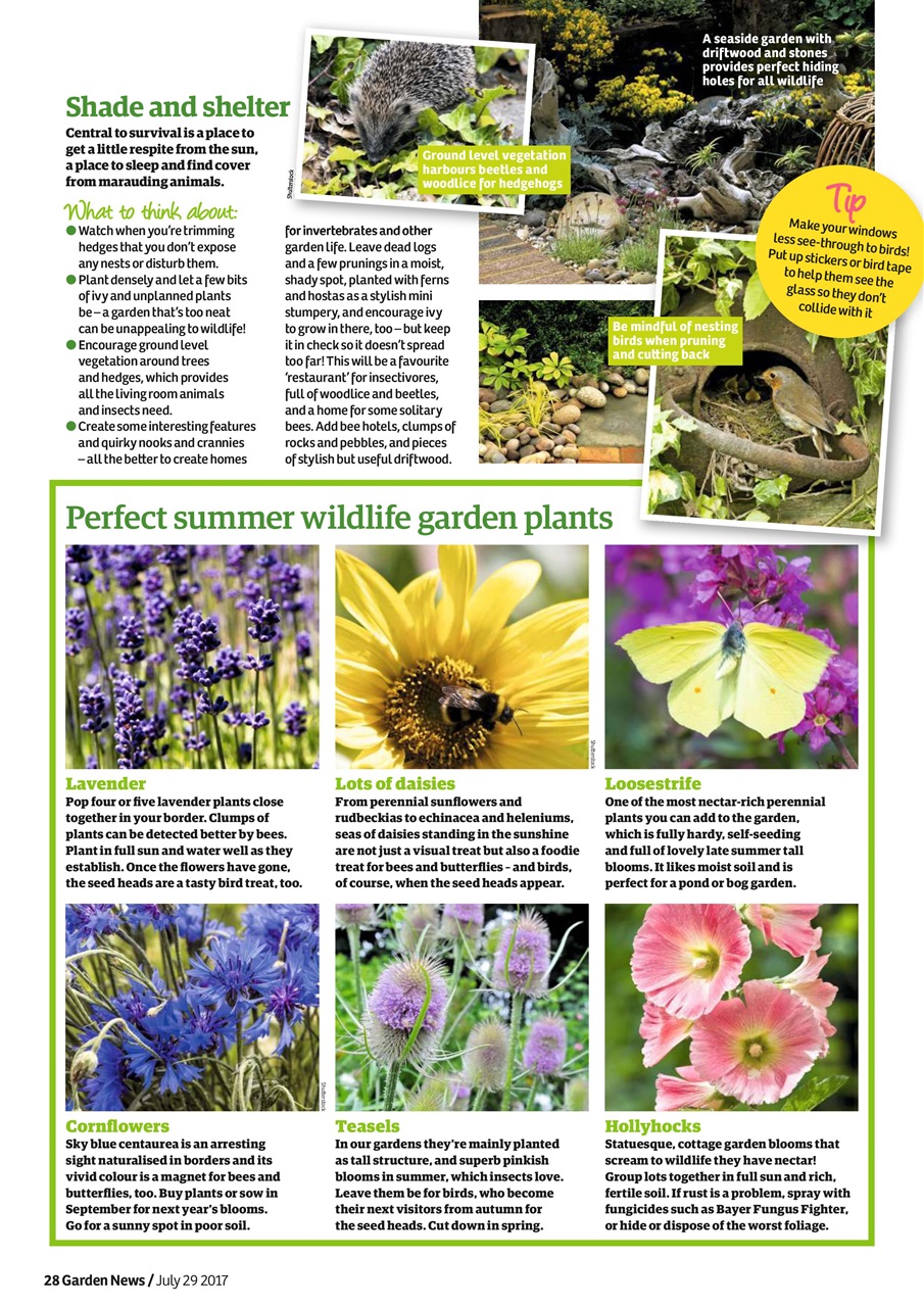 Garden News Preview Pages