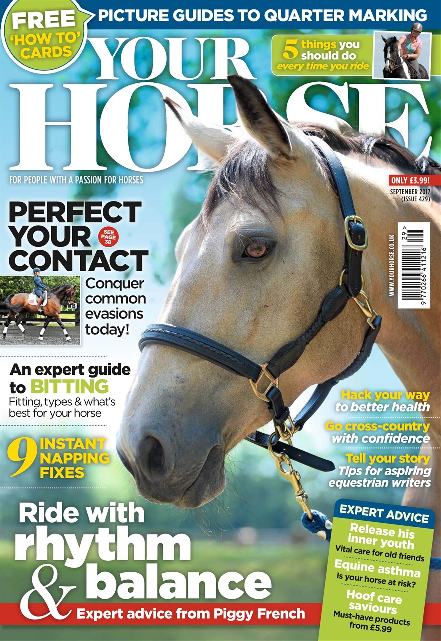 Your Horse Preview Pages