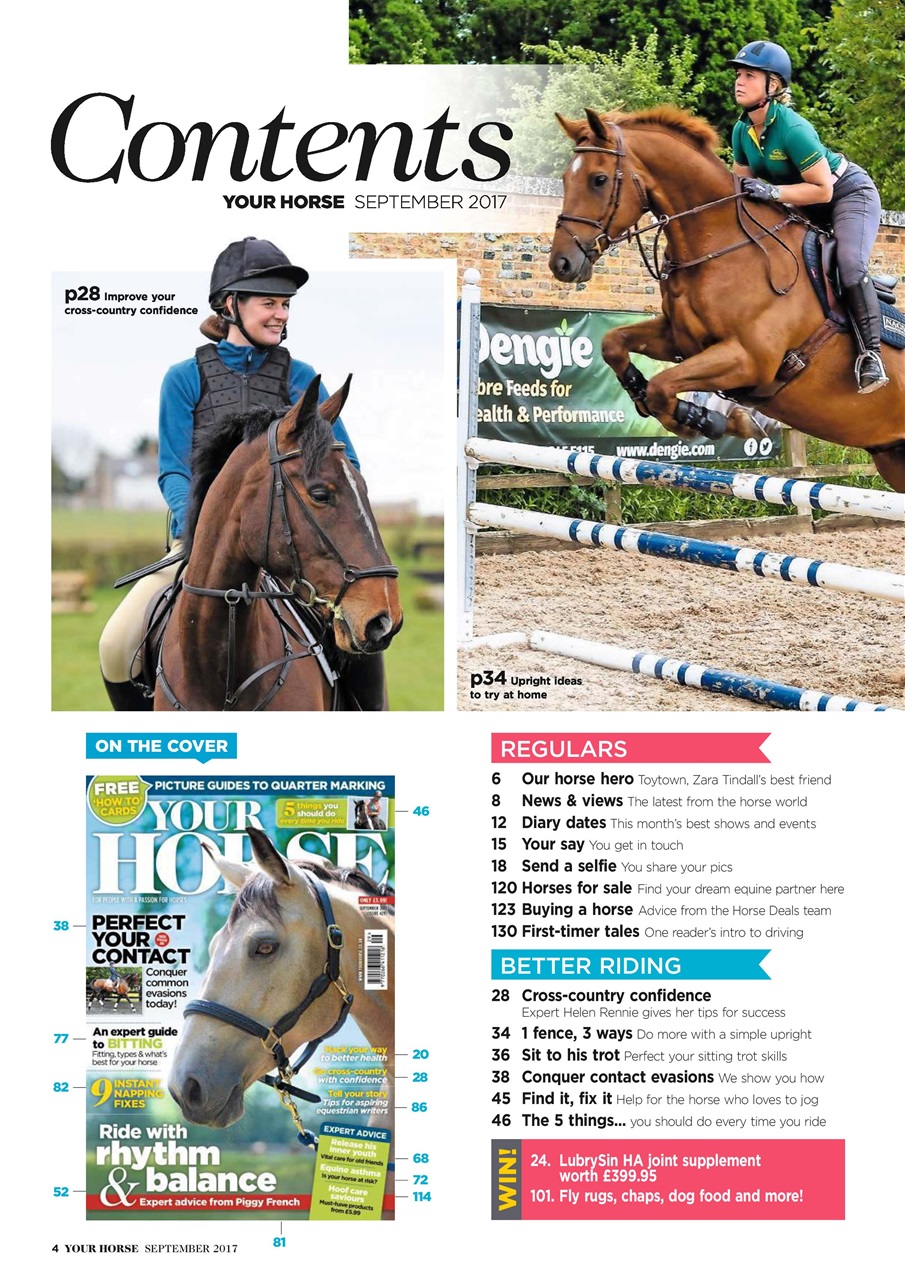 Your Horse Preview Pages