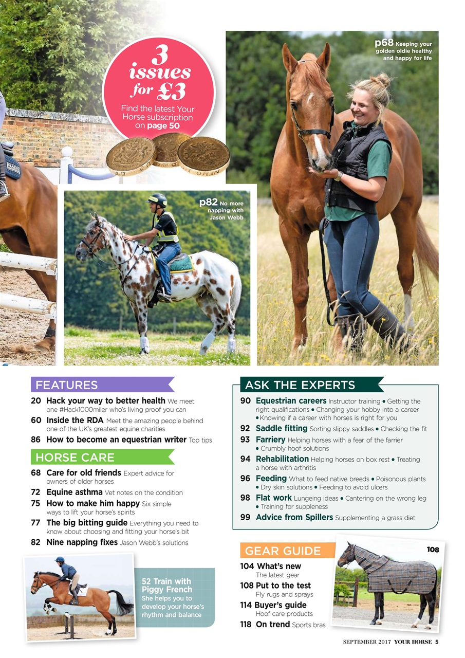 Your Horse Preview Pages