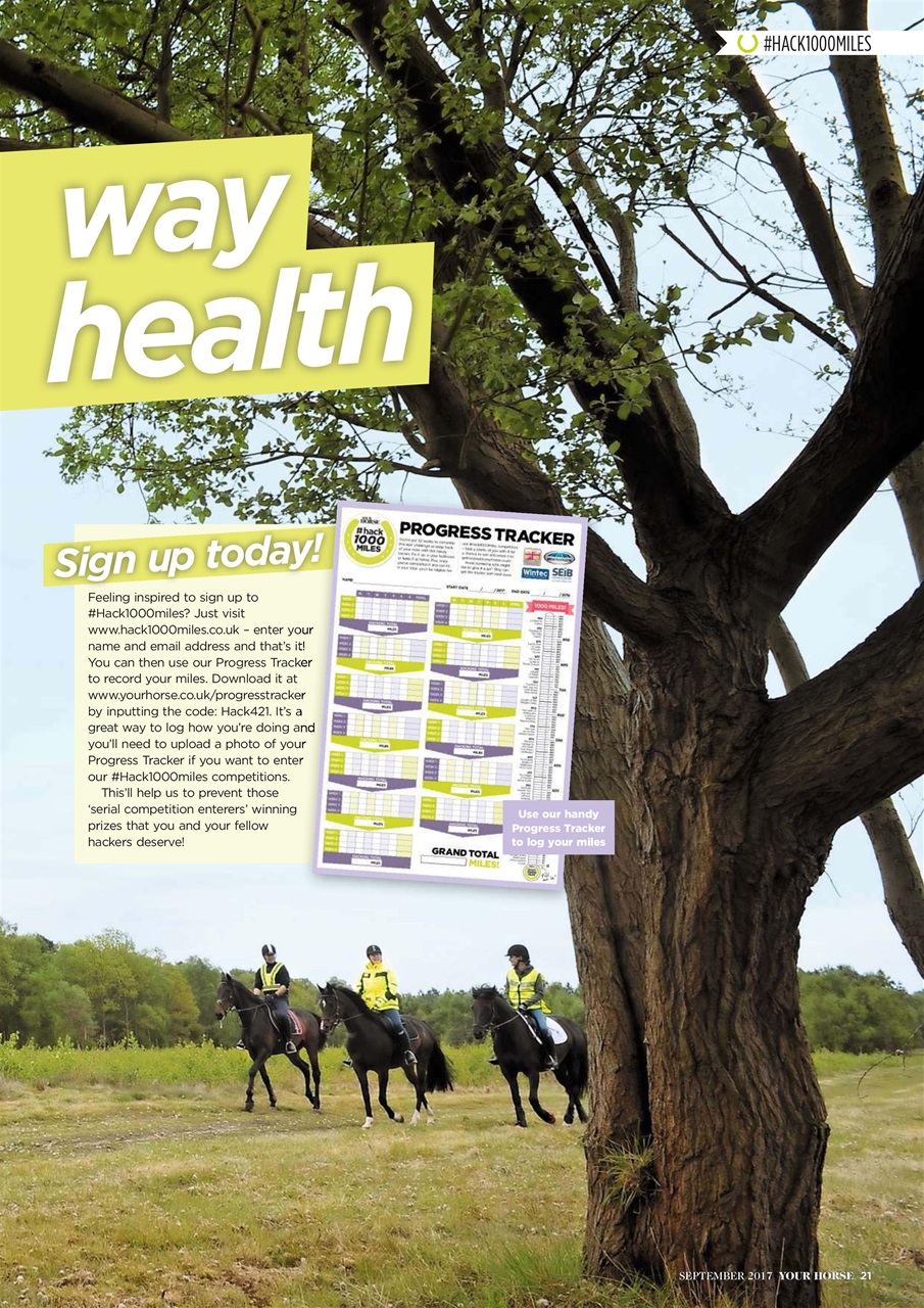 Your Horse Preview Pages