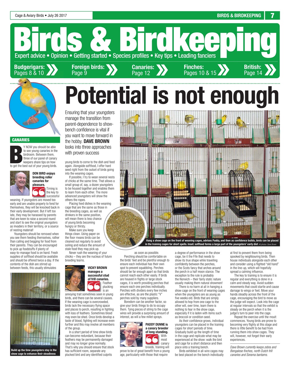 Cage & Aviary Birds Preview Pages