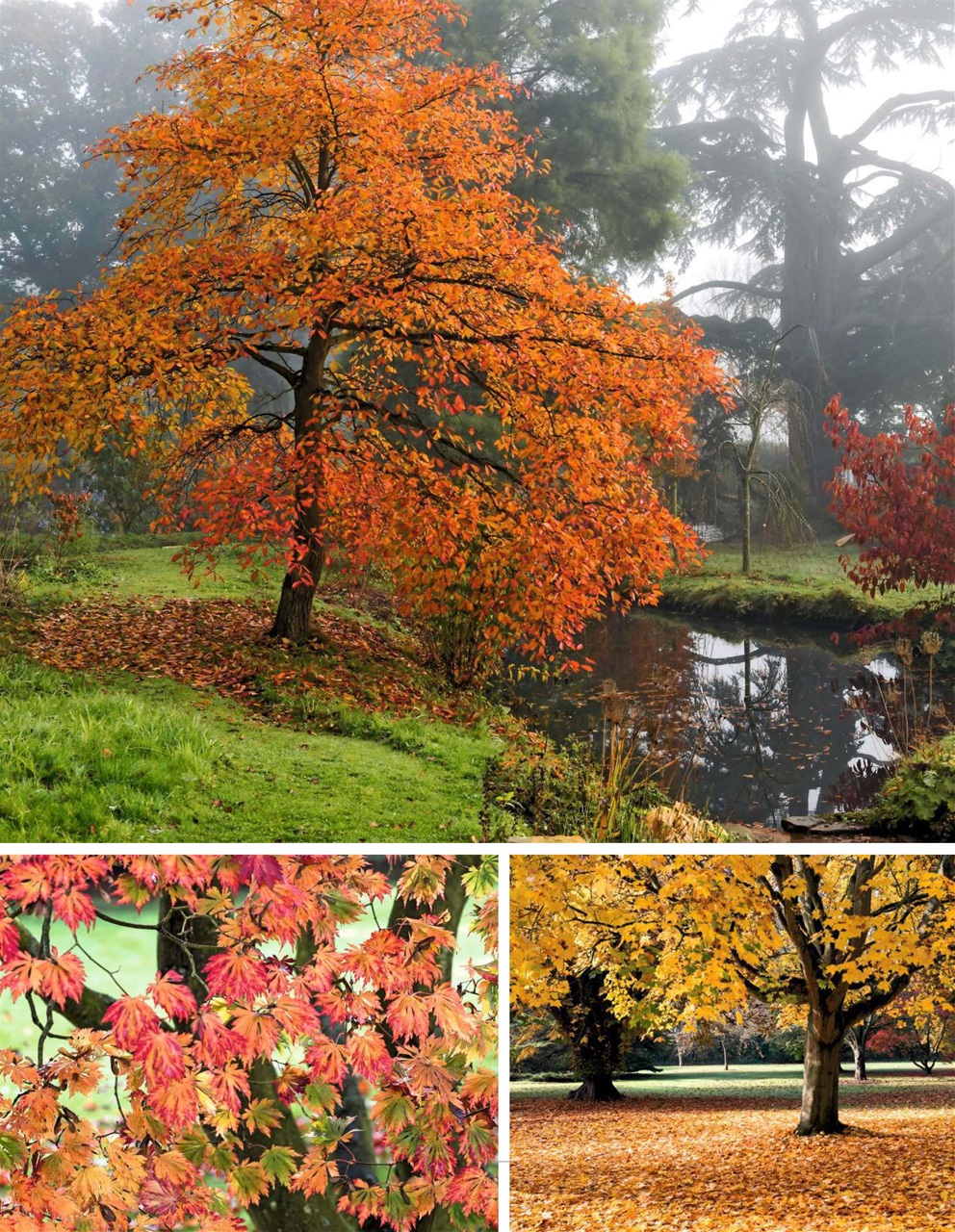 LandScape Preview Pages