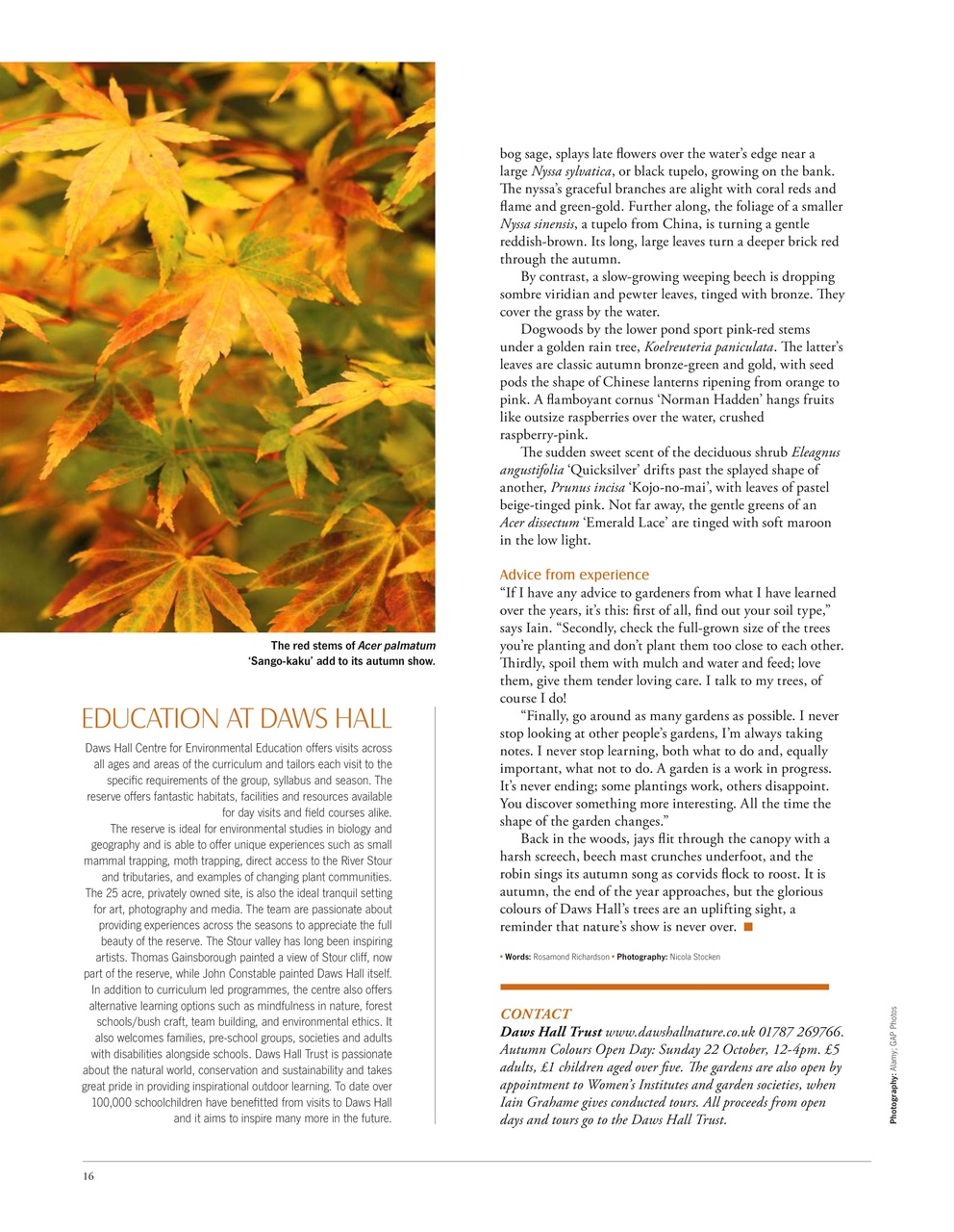 LandScape Preview Pages