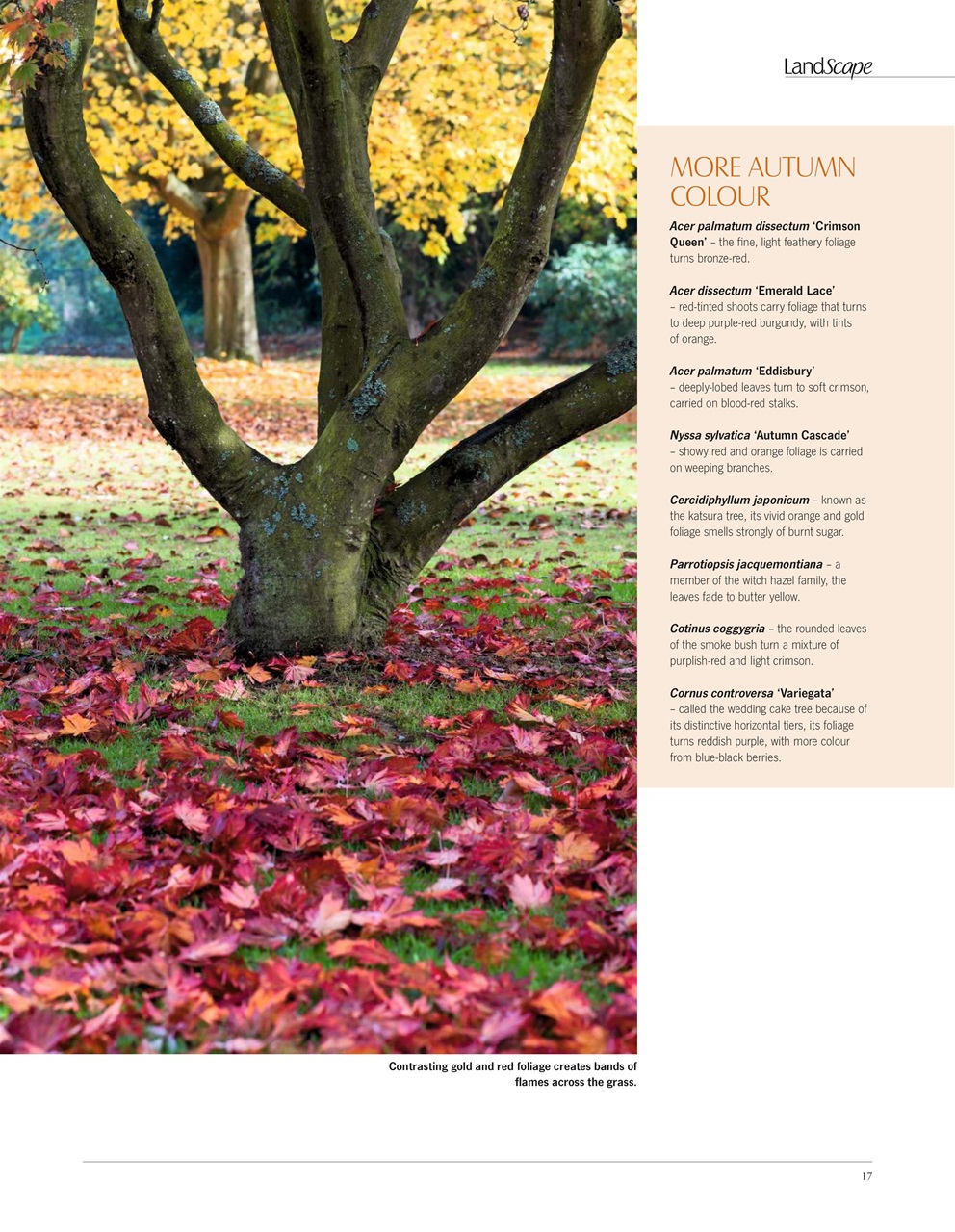 LandScape Preview Pages