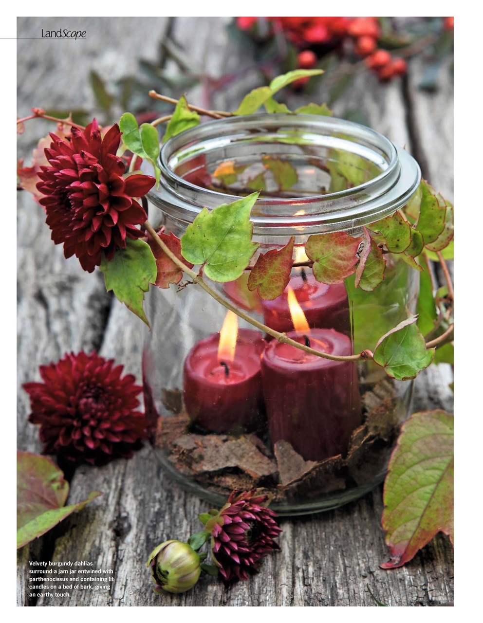 LandScape Preview Pages