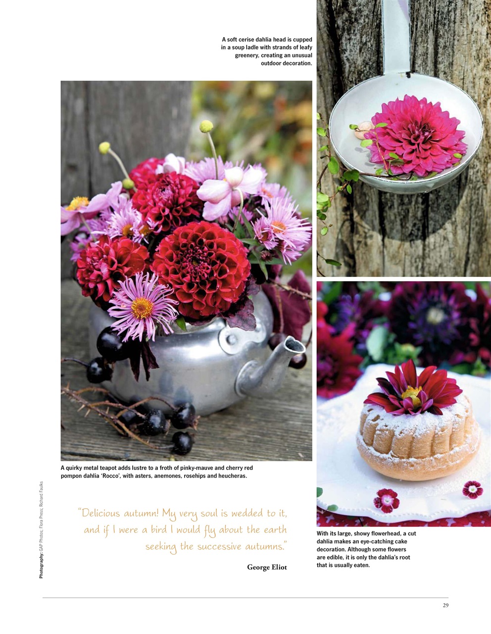 LandScape Preview Pages