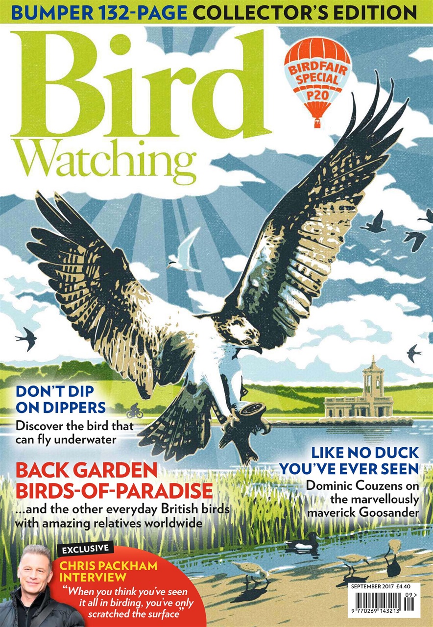 Bird Watching Preview Pages