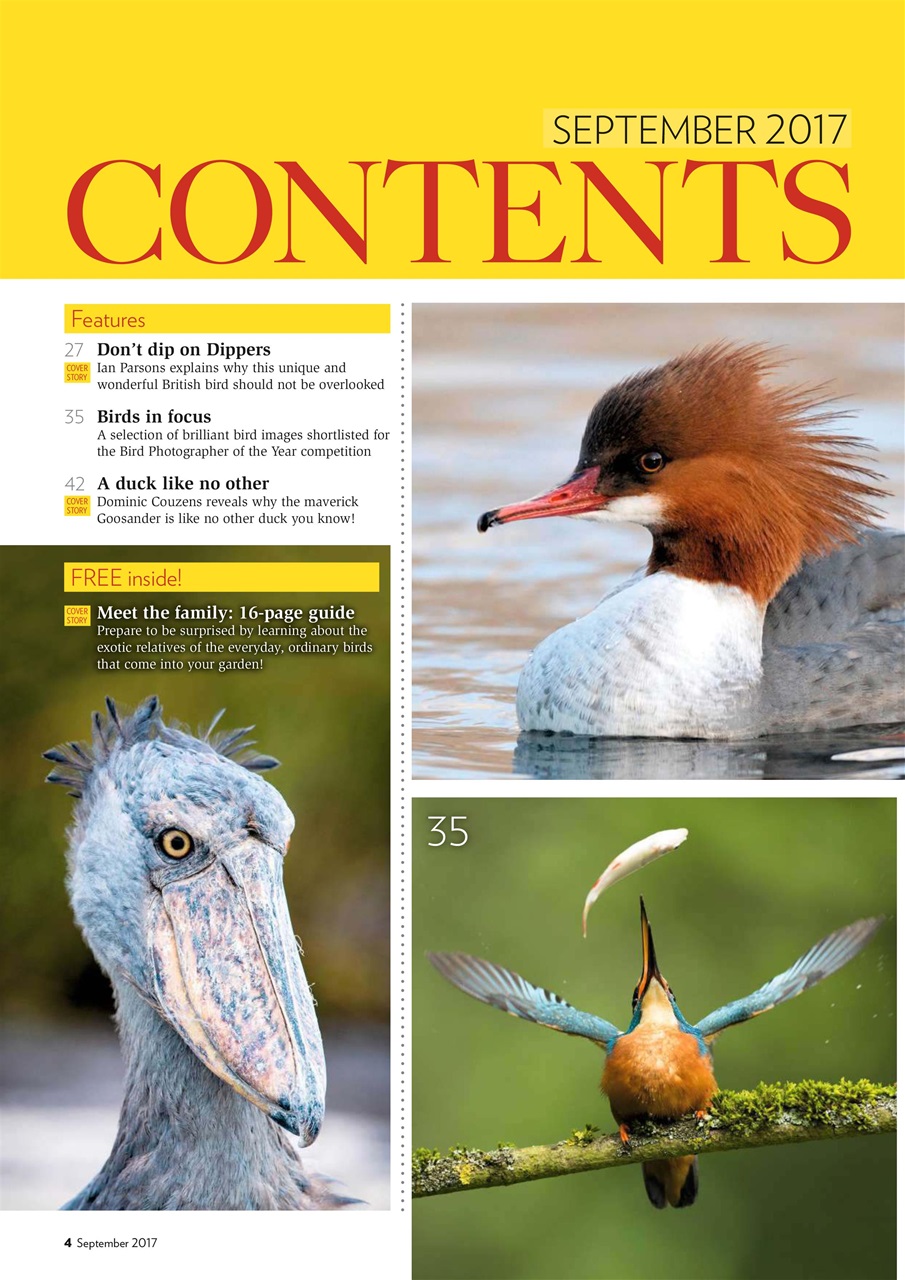 Bird Watching Preview Pages