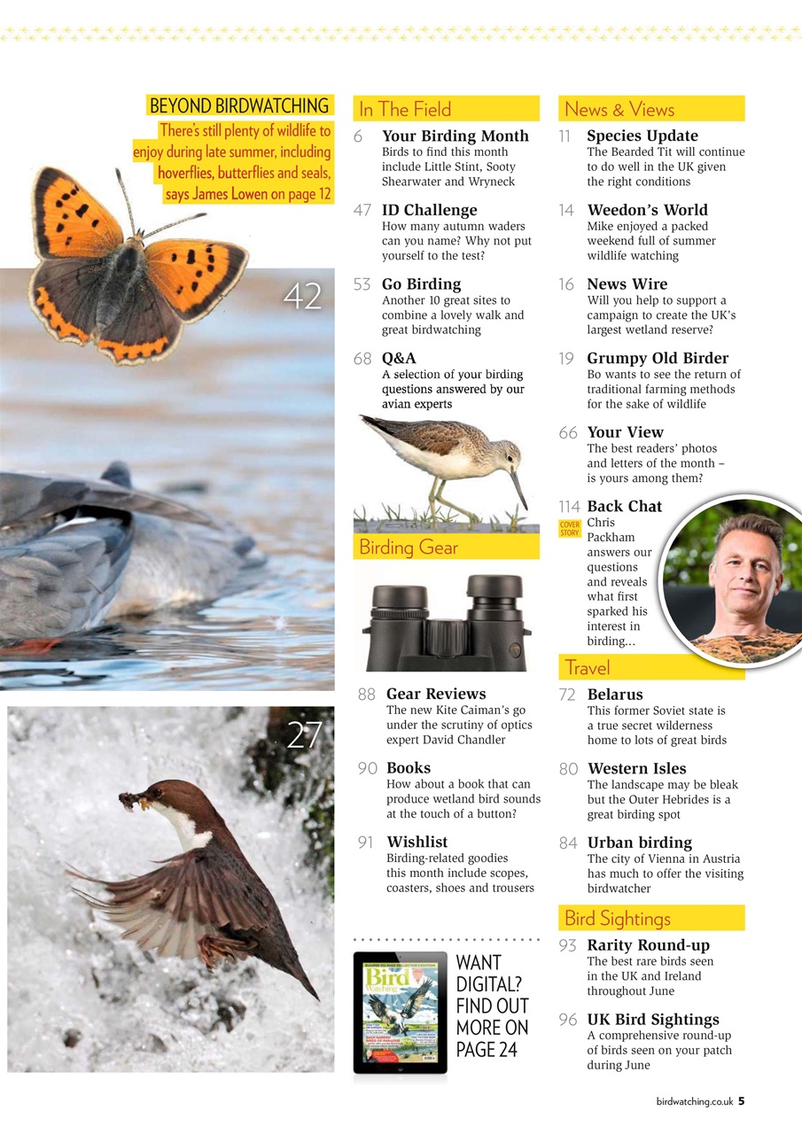 Bird Watching Preview Pages