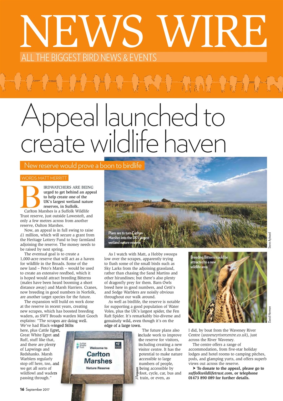 Bird Watching Preview Pages