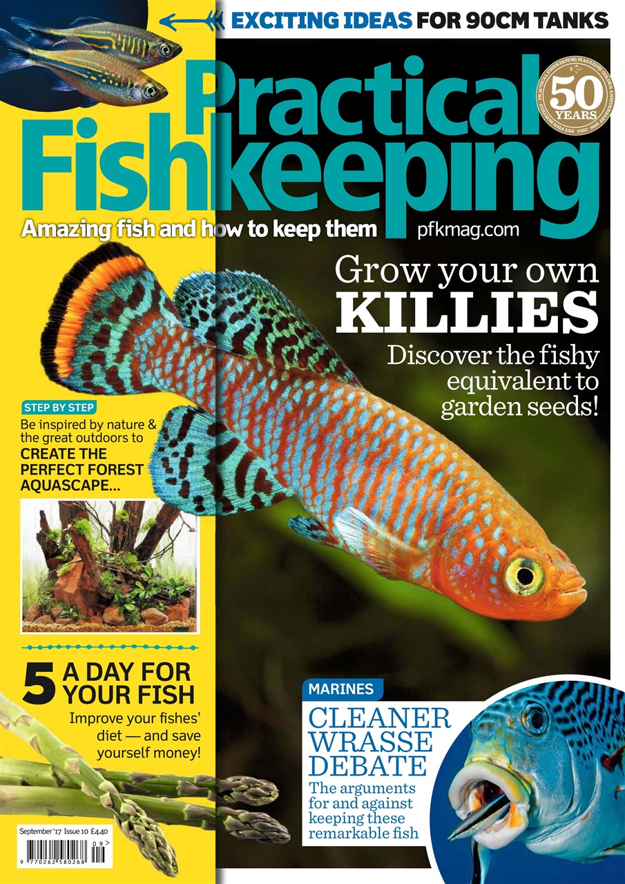 Practical Fishkeeping Preview Pages
